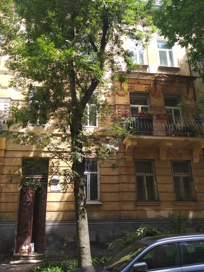 Cosy flat Lägenhet Lviv Exteriör bild